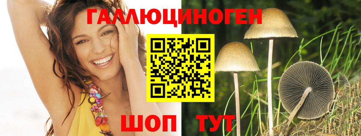 Галлюциногенные грибы прущие грибы  Галлюциногенные грибы Cubensis  Вход с VPN  что такое наркотик  Мариинск 